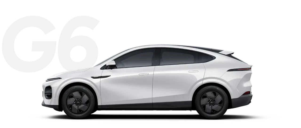 Arctic White