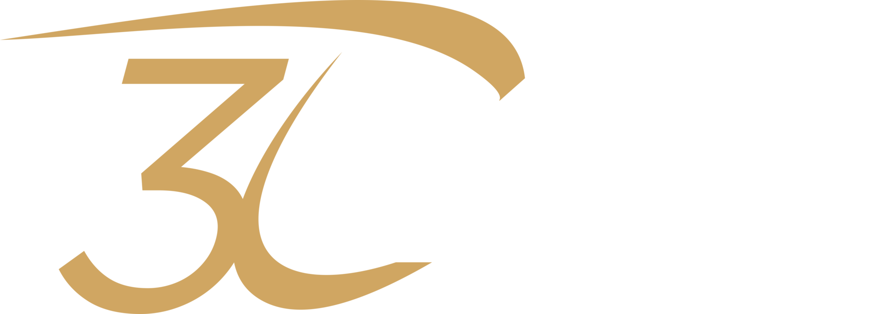 PROCAR 30 de ani
